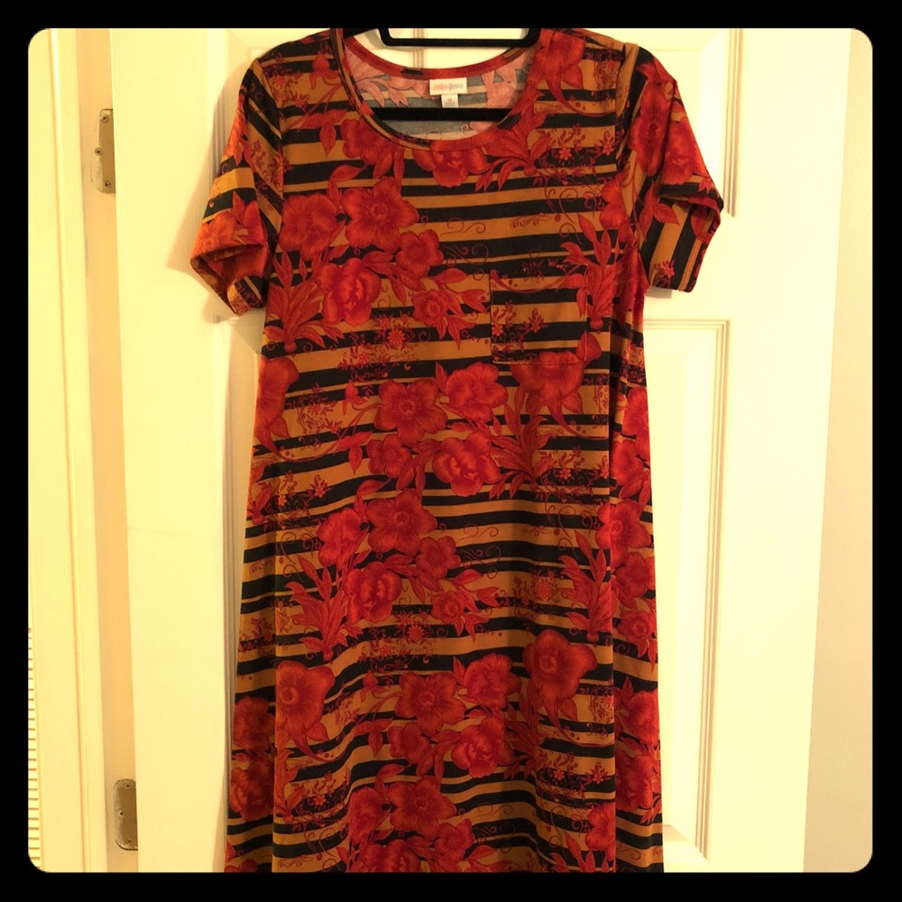 LuLaRoe Carly - NWOT Medium